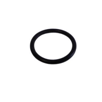 Raptor joint torique de moteur pompe pour robot 58481 Bestway